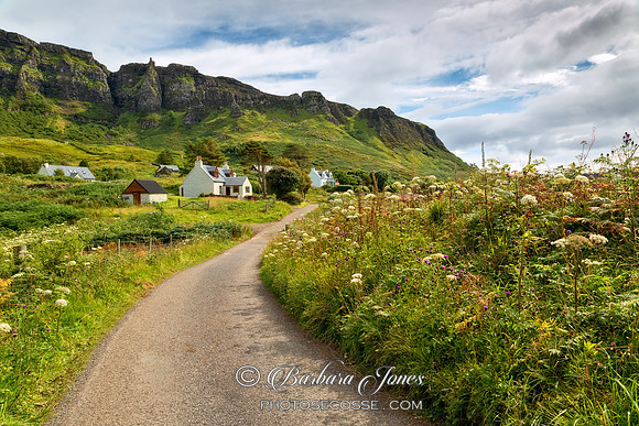 Cleadale and Summer Flowers. Isle of Eigg. Small Isles. Scotland.
