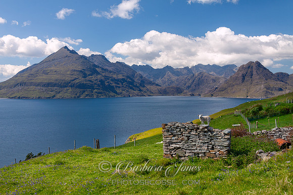 Elgol in Springtime Isle of Skye Sotland.