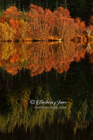 Scottish Highland Lochan Reflections in Autumn
