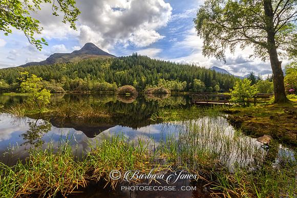 Hospital Lochan Glencoe, Early Summer, Scotland.