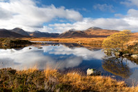 Blackmount. Lochan Na h-Achlaise Autumn Reflections. Rannoch Moor. Scotland.