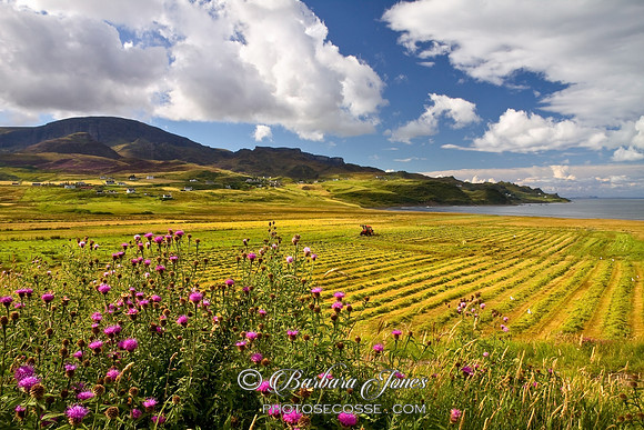 Staffin in late Summer, Isle of Skye, Scotland.