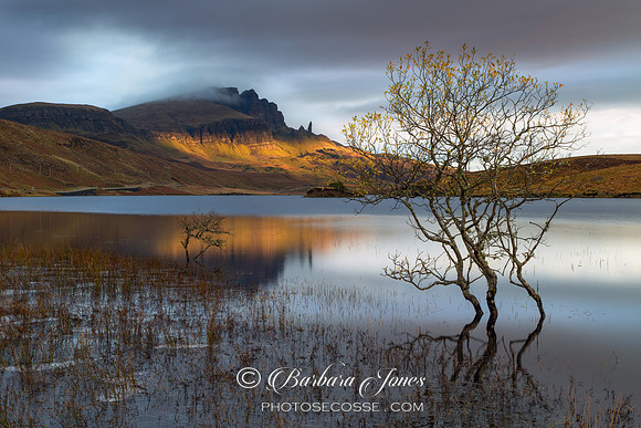 Old Man of Storr Sunrise Light Trotternish Skye Scotland.