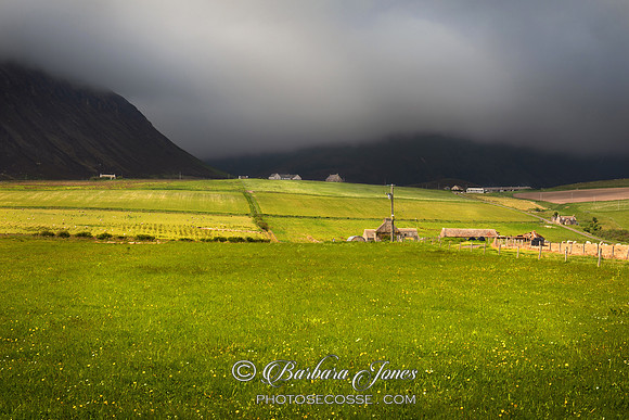 Moaness Summer Fields  Isle of Hoy Orkney Scotland
