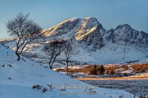 Blaven Birches in Winter Isle of Skye Scotland.