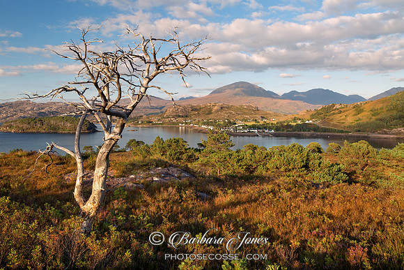 Shieldaig Village Fine Evening Wester Ross Scotland.