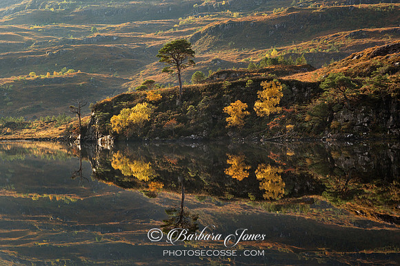 Shieldaig  Loch Dughaill Reflections  Scotland.