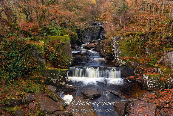 Bracklinn Falls in Autumn Callander Scotland.