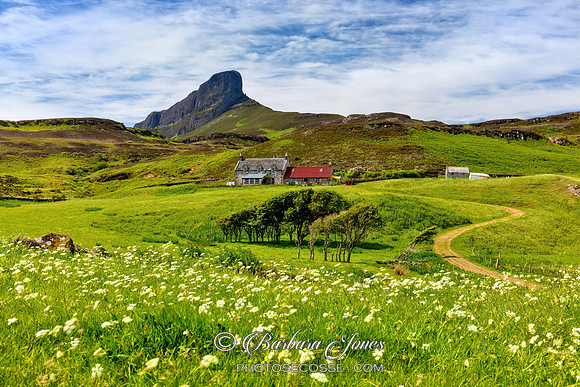 Sgurr of Eigg. Galmisdale Farm. Early Summer. Isle of Eigg. Scotland.