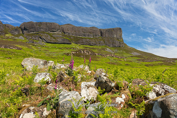Grulin Uachdrach. Sgurr of Eigg. Small Isles. Scotland.