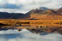 Blackmount. Lochan na h-Achlaise . Rannoch. Scotland.