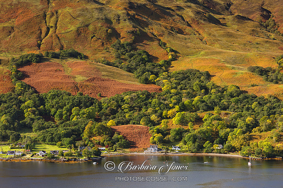Loch Duich. Letterfearn. Carr Brae View. Scotland.