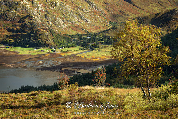 Mam Ratagan View to Shiel Bridge. Kintail. Scotland.