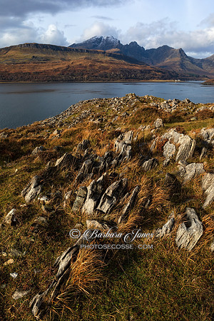 Camus Malag Golden Grasses, Skye Scotland.