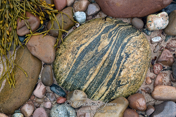 Mellon Udrigle Stones and Seaweed  Wester Ross  Scotland.