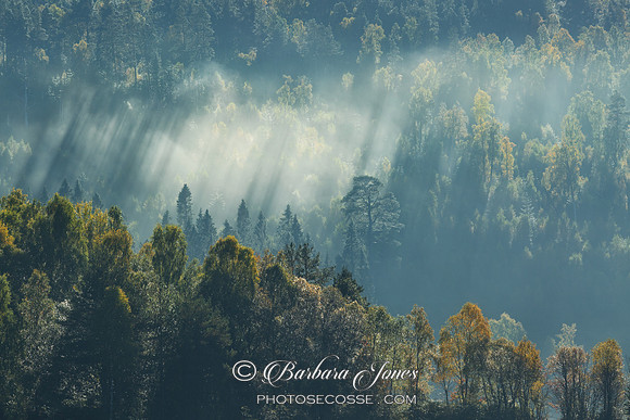 Mist. Loch Garry Forest. Sunbeams and Autumn Mists. Scottish Highlands.