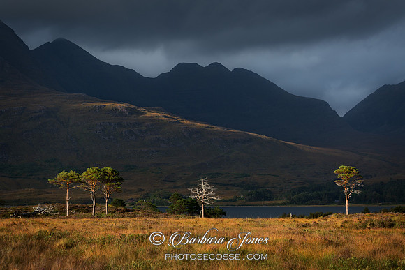 Moody Skies. Beinn Alligin from Balgy. Upper Loch Torridon. Wester Ross. North West Highlands. Scotland.