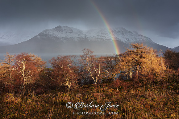 Rainbow. Liathach. Balgy. Glen Torridon. Wester Ross. Scotland.