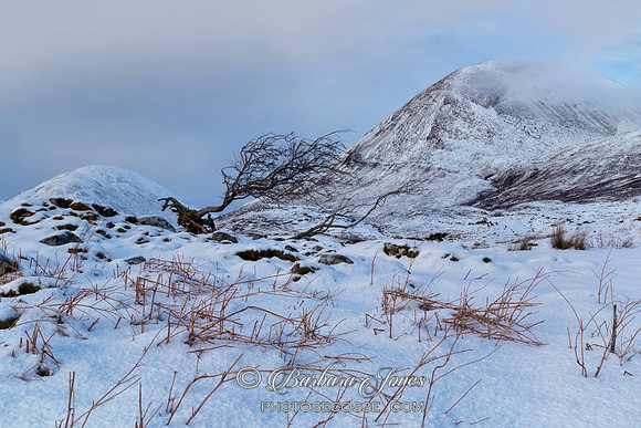 Red Hills Snow Scene Torrin Skye Scotland.