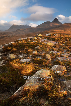 Druim Bad a Ghaill Sandstone Scotland
