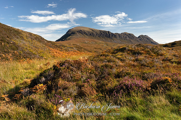 Quinaig. Near Drumbeg. Autumn Sun. Scotland.