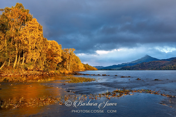 Loch Rannoch and Schiehallion Evening Light Scotland.