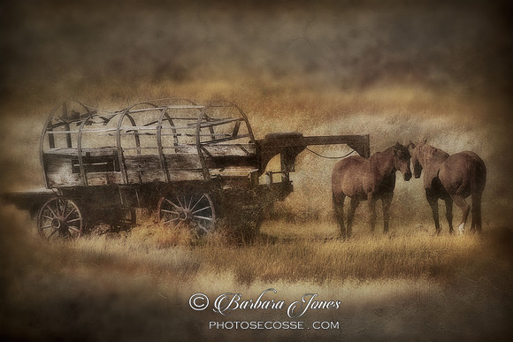 Horses and Cart, Montana , USA, Textured and Toned
