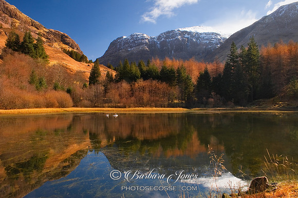 Glen Coe, Torren Lochan, Lochaber Scotland.