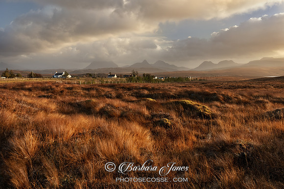 Braes of Achnahaird.  Moorland Grasses. Coigach. Scotland.