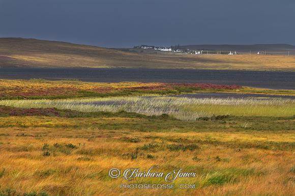 Colours of Coigach.  Braes of Achnahaird and  Loch Ra. Scotland.