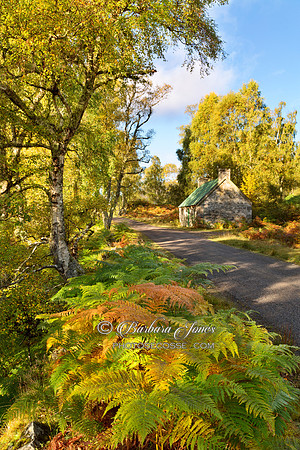 Glen Strathfarrar. Cottage and roadside trees in Autumn. Scotland.