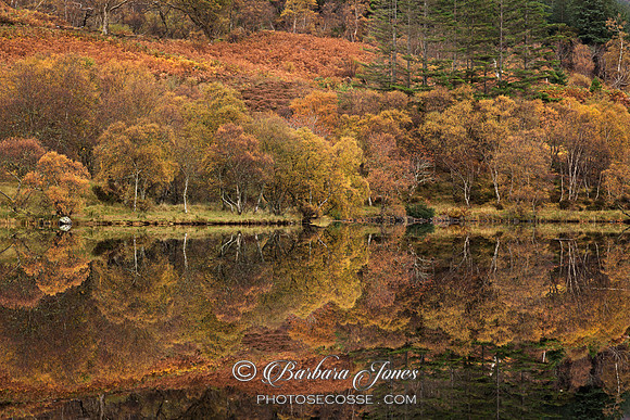 Highland Lochan. Autumn Colours and Reflections. Scotland.