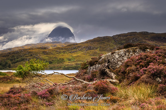 Suilven from Glencanisp. Assynt.. Scotland.