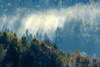 Loch Garry Forest Autumn Mists. Scotland.