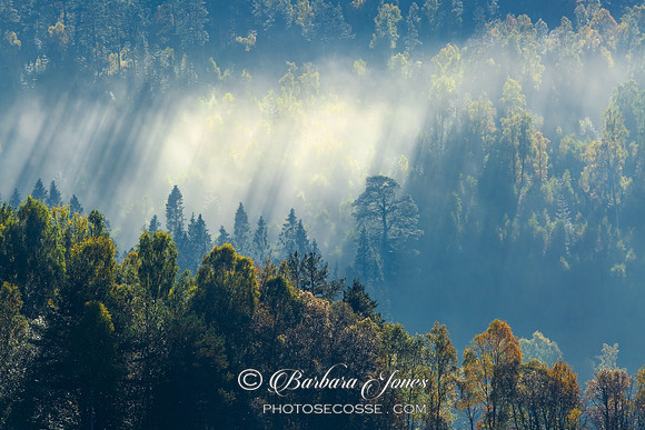 Loch Garry Forest Autumn Mists. Scotland.