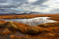 A' Mhoine Autumn Grasses, Ben Loyal NC500 Scotland.