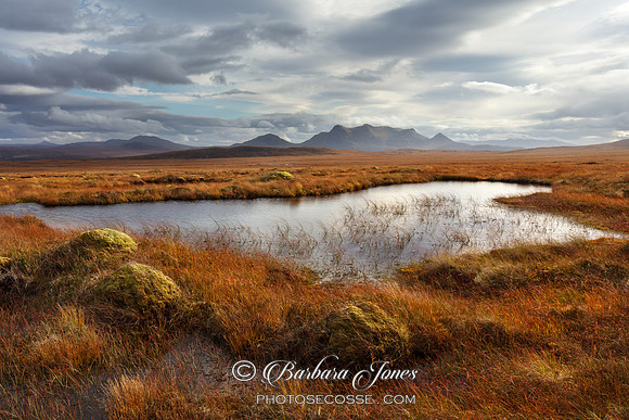 A' Mhoine Autumn Grasses, Ben Loyal NC500 Scotland.