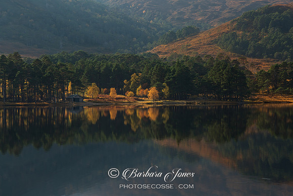 Torridon. Loch Clair. Tree reflections in Autumn. Wester Ross. Scotland.