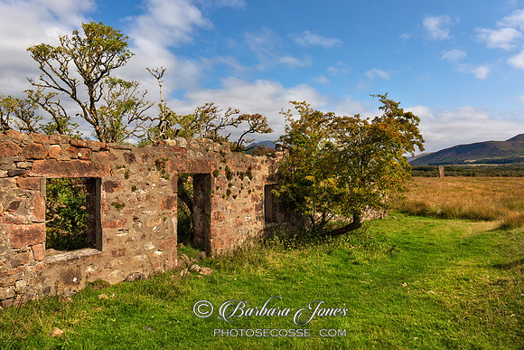 Machrie Moor Moss Farm Isle of Arran Scotland
