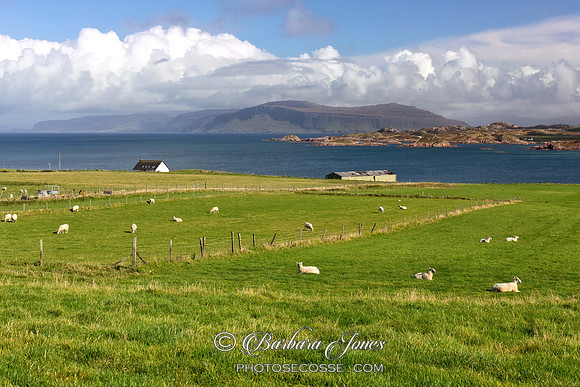 Iona, Isle of Mull, View of Ardmeanach, Scotland.