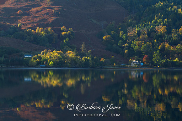 Loch Duich Autumn Colours. Kintail. Scottish Highlands.