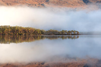 Loch Maree Pines and Mist Slattadale Scotland