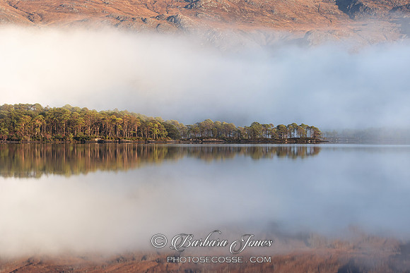 Loch Maree Pines and Mist Slattadale Scotland