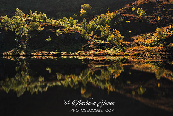 Glen Strathfarrar. Reflections. Highland Scotland.