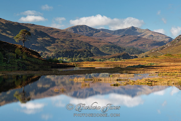 Glen Strathfarrar. Reflections in the Loch. Scotland.