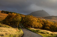 Ben Hope Autumn Birches Sutherland Scotland.