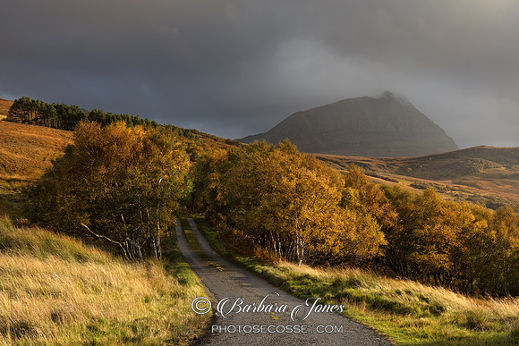 Ben Hope Autumn Birches Sutherland Scotland.