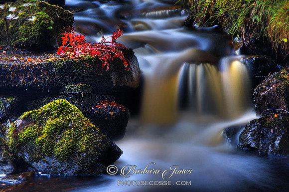 Highland Burn in Autumn. Scotland.