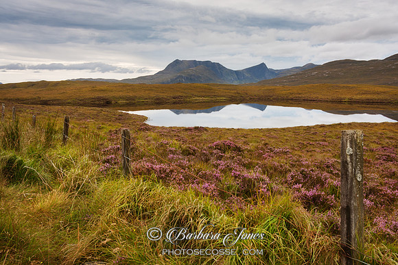 Ben Mor Coigach Autumn NW Geopark Scotland.