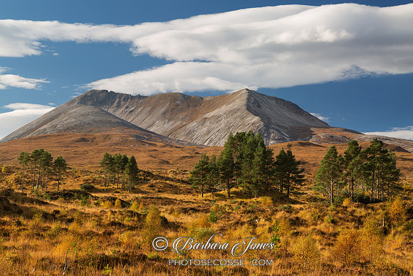 Torridon. Beinn Eighe. Golden Autumn Light. Wester Ross. Scotland.